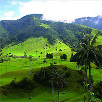 View of Bogota - Coffee Zone Armenia - Medellin