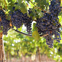 View of Buenos Aires - El Calafate - Bariloche - Mendoza by Air
