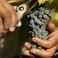 View of Buenos Aires - Iguazu Falls (Argentina) - Mendoza by Air