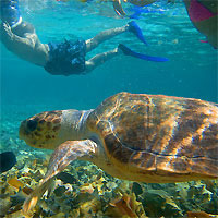 View of Mountain Pine Ridge - Hopkins - Ambergris Caye
