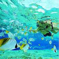 View of Lamanai and Ambergris Caye