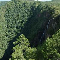 _Mountain Pine Ridge Tour - Shared