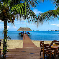 View of Copal Tree Lodge - Turtle Inn or Chabil Mar