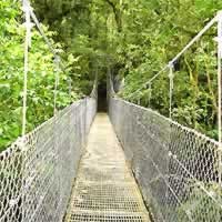 Hanging bridges and Fortuna waterfall with Lunch (Guided)