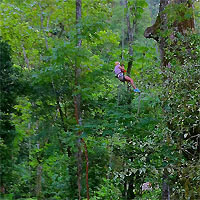 Half Day Pure Trek Canyoning Tour (Guided)