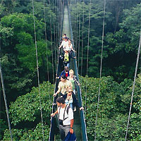 View of Sarapiqui Rainforest - Arenal Volcano - Monteverde - Quepos with Private Transfers