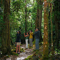 View of San Jose Getaway