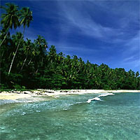 View of San Jose - Puerto Viejo - Tortuguero - Arenal Volcano - Monteverde - Quepos