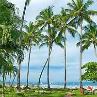 View of Explore and Escape in Arenal - Monteverde - Tamarindo plus San Jose