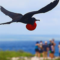 View of Quito - Galapagos Island (Santa Cruz) - Guayaquil by Air