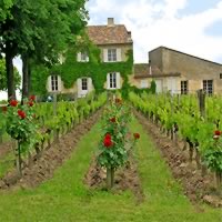 /images/packages/france/bordeaux-saintemilionvineyards-500.jpg