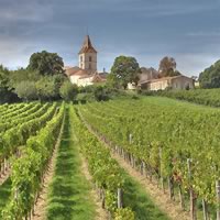 /images/packages/france/bordeaux-winevineyards-500.jpg
