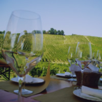 Alsace Wine Route Small Group Half-Day Tour with Tasting from Strasbourg