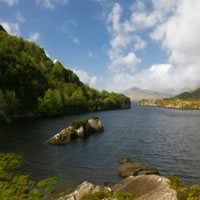 Ring of Kerry Day Tour from Limerick: Including Killarney National Park