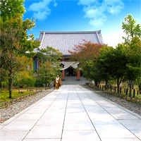 View of Runway to Rail: Tokyo - Kyoto - Hong Kong