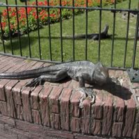 /images/packages/netherlands/amsterdam-komododragonsculpture-500.jpg