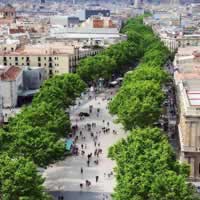 View of Barcelona and Palma de Mallorca Island by Air