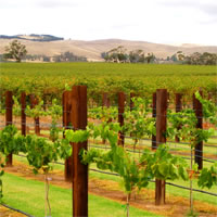 VSS - Adelaide - Barossa Valley
