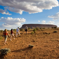 Mt Conner 4WD Small Group Tour from Ayers Rock Resort inc Dinner