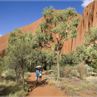 Full Uluru Base Walk at Sunrise Including breakfast