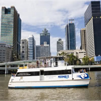 Brisbane River Cruise with entry to Lone Pine Koala Sanctuary