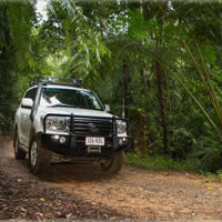 Barron Gorge and Kuranda National Park Half Day Rainforest and Waterfall 4WD Tour from Cairns