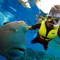 View of Cairns - Adelaide - Melbourne - Fiji (Nadi) by Air