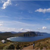Bruny Island Food, Sightseeing, Guided Lighthouse Tour &amp; Lunch