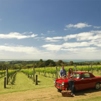 View of Sydney - Melbourne - Auckland for Foodies