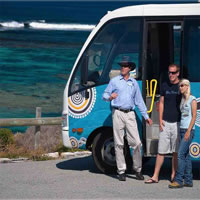 Discover Rottnest with Ferry &amp; Bus Tour