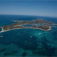 Adventure Rottnest Tour with Ferry &amp; Adventure Cruise