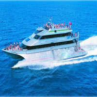 Quicksilver Great Barrier Reef Snorkel Cruise from Port Douglas