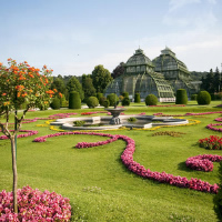 /images/packages1/austria/vienna-schonbrunnpalmhouse-500.jpg