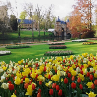 /images/packages1/belgium/brussels-flowerexhibiton-500.jpg