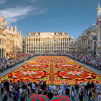 /images/packages1/belgium/brussels-grandplacetour-500.jpg