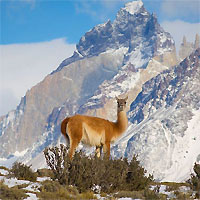 Chilean Patagonia Highlights