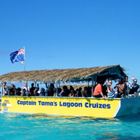 Half-Day Muri Lagoon BBQ Lunch Cruise including Snorkeling