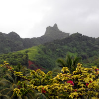 'Discover' Rarotonga Cycling Tour with Lunch