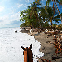 View of Runway to Ride: Manuel Antonio - Monteverde - Santa Teresa Beach