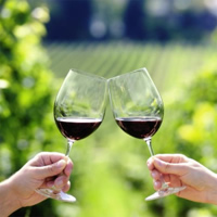 /images/packages1/croatia/croatia-winetastingvineyard-500.jpg