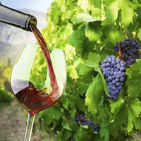 /images/packages1/croatia/croatia-winetastingvineyards-500.jpg