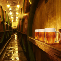 /images/packages1/czech_republic/czechrepublic-beerfactory-500.jpg