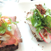 /images/packages1/denmark/copenhagen-foodtoursandwich-500.jpg