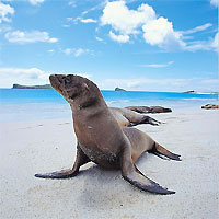 View of Quito - Amazon - Galapagos (Santa Cruz)