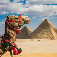 /images/packages1/egypt/cairo-gizagreatpyramidcamel-500.jpg