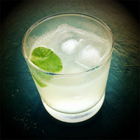 /images/packages1/england/england-gindrink-500.jpg