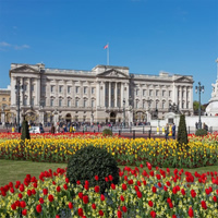 /images/packages1/england/london-buckinghampalacedayview-500.jpg