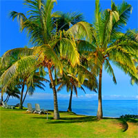 Fiji (Coral Coast) - Auckland - Sydney by Air