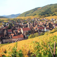 Alsace Wine Route Wineries &amp; Tasting Small Group Guided Tour from Strasbourg
