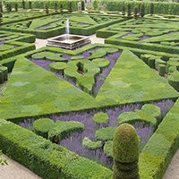 /images/packages1/france/amboise_chateau_gardens-500.jpg